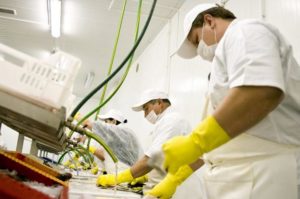 offerta di lavoro Operai settore alimentare