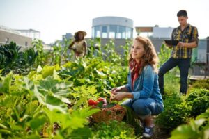 offerta di lavoro per braccianti agricoli