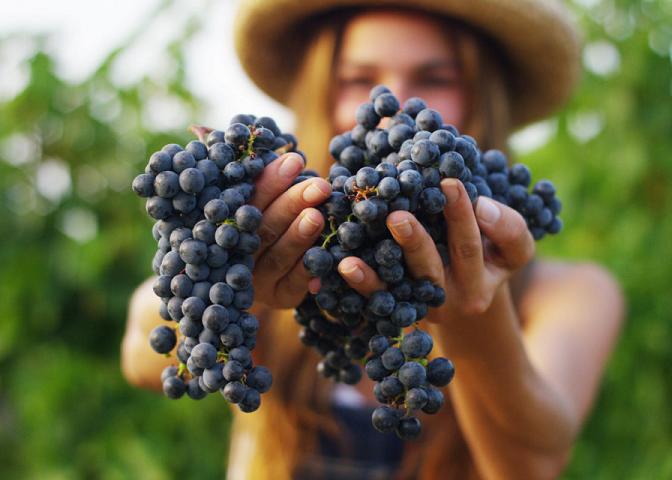 lavoro per Operai agricoli